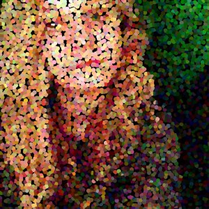 savanna-no-text